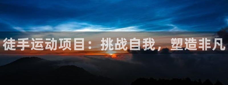必发集团官网