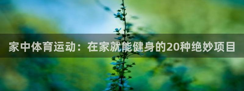 home一必发官网